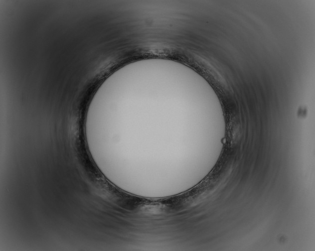 X0000102820595200809021252