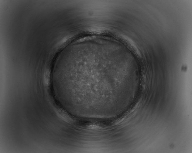 X0000102820596200809021252