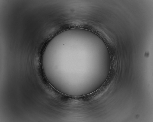 X0000102820597200809021252