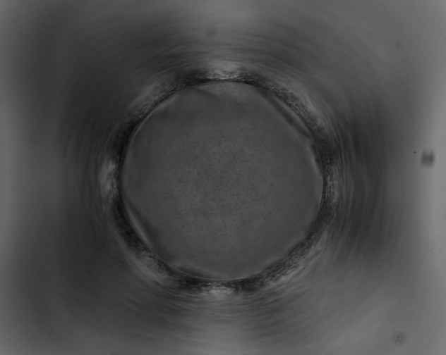 X0000102820598200809021252