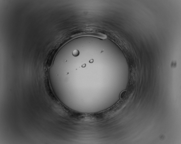 X0000102820601200809021252