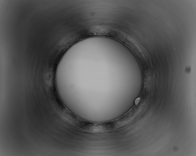 X0000102820604200809021252