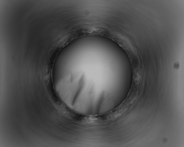 X0000102820607200809021252