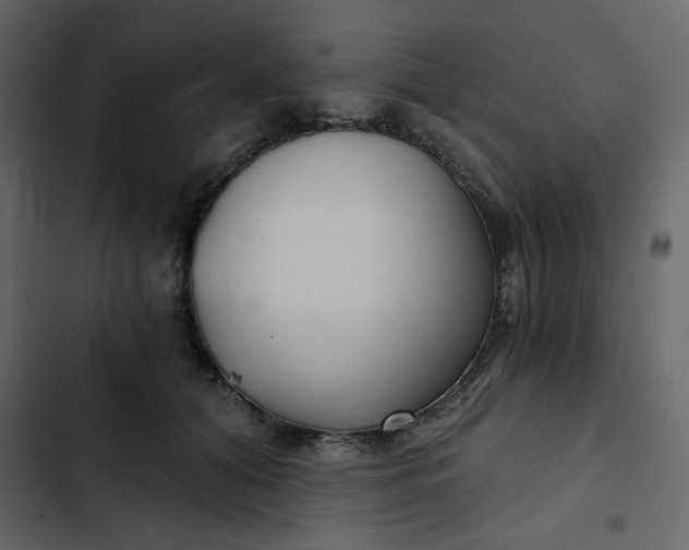 X0000102820608200809021252