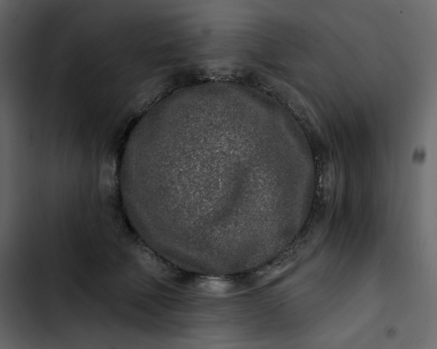 X0000102820610200809021252