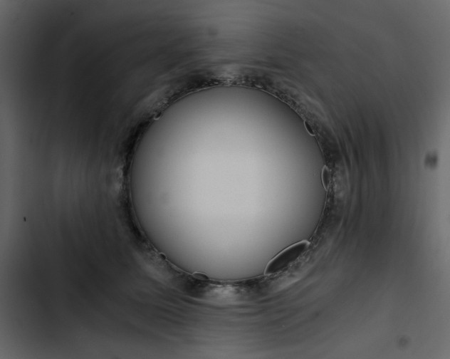 X0000102820611200809021252