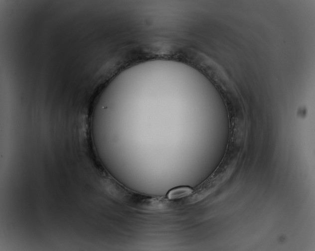 X0000102820612200809021252
