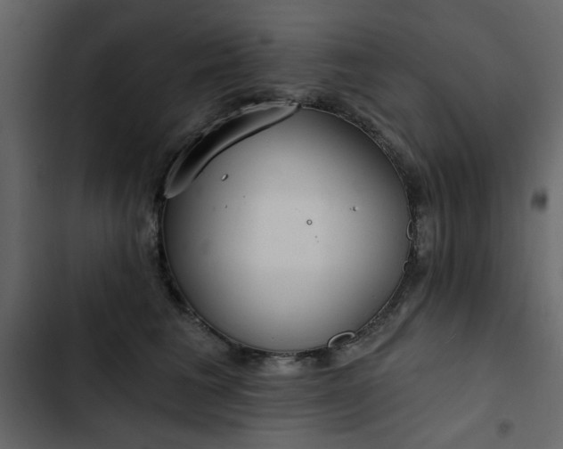 X0000102820613200809021252