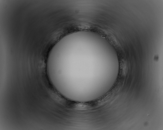 X0000102820614200809021252