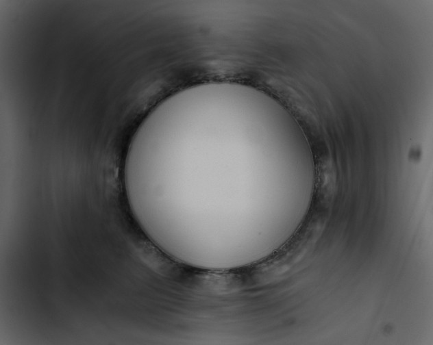 X0000102820615200809021252