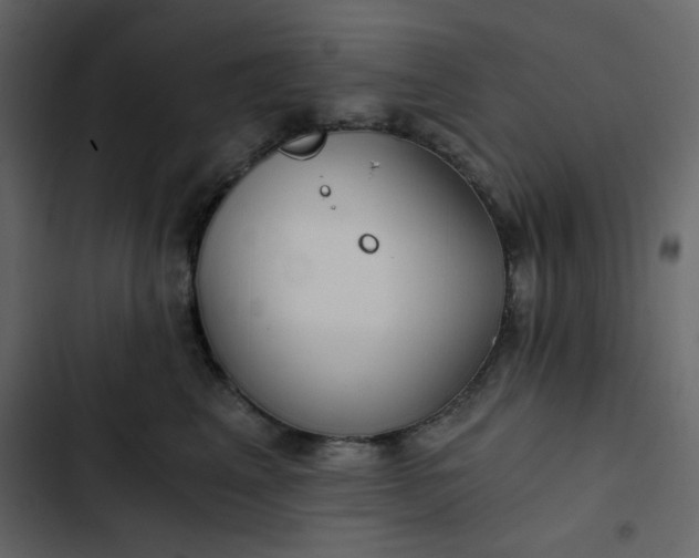 X0000102820617200809021252