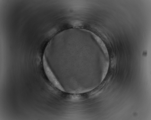 X0000102820618200809021252
