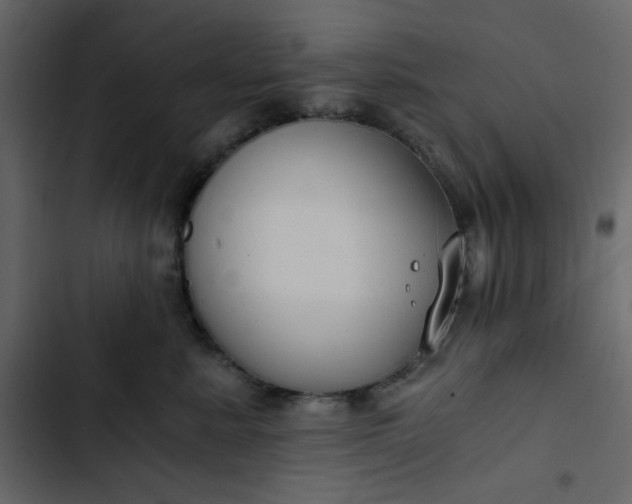 X0000102820619200809021252