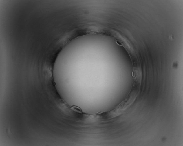 X0000102820621200809021252