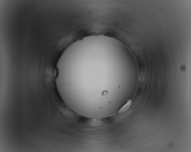 X0000102820623200809021252