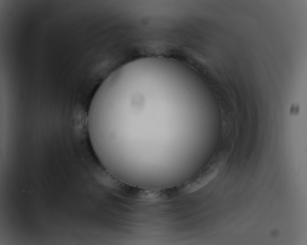 X0000102820624200809021252