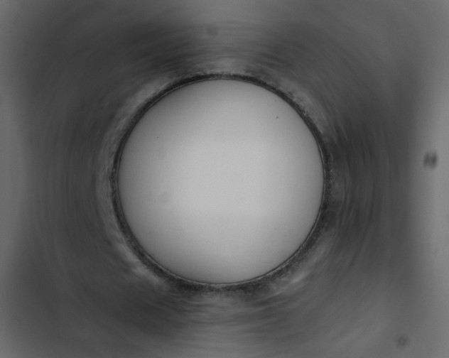 X0000102820625200809021251