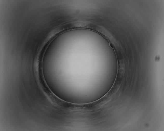 X0000102820626200809021251