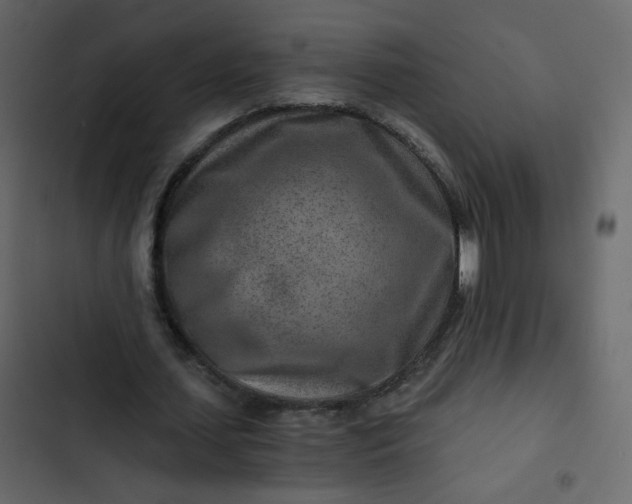 X0000102820627200809021251