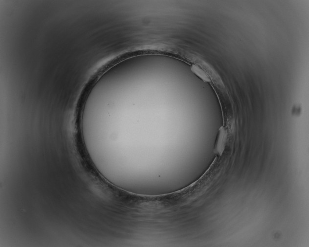 X0000102820628200809021251