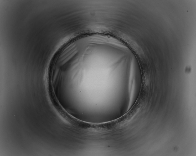 X0000102820630200809021251