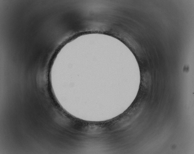 X0000102820632200809021251