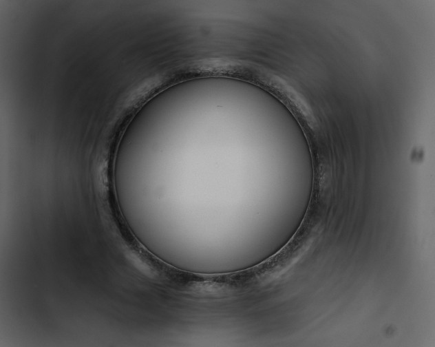 X0000102820633200809021251