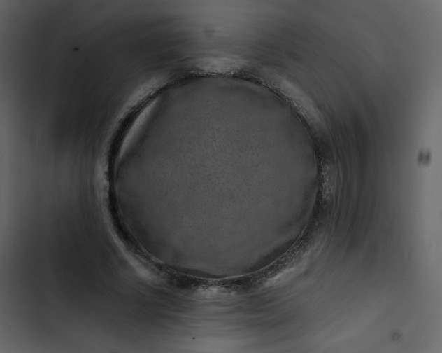 X0000102820634200809021251
