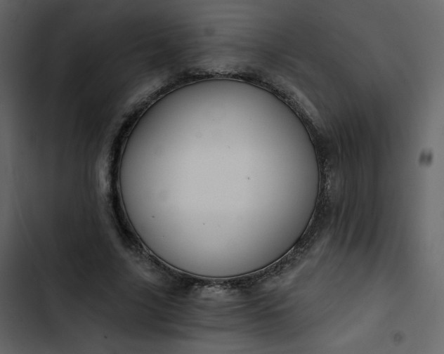X0000102820635200809021251