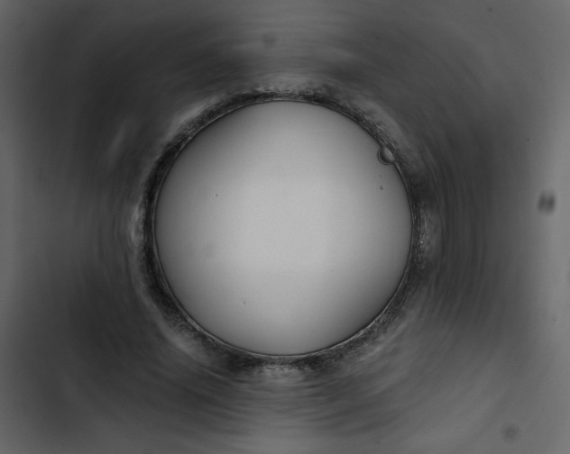 X0000102820636200809021251