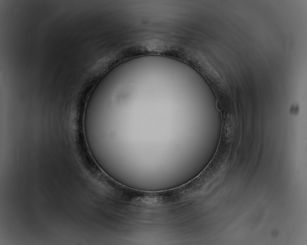X0000102820639200809021251