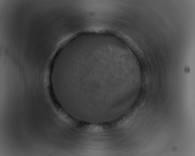 X0000102820640200809021251