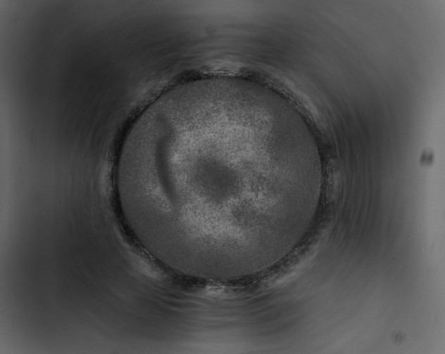 X0000102820641200809021251