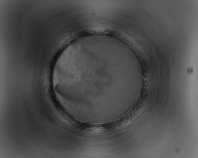 X0000102820642200809021251