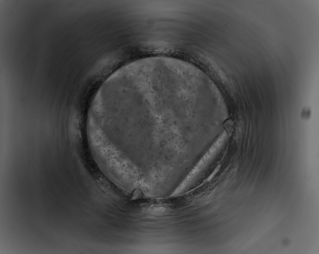 X0000102820643200809021251