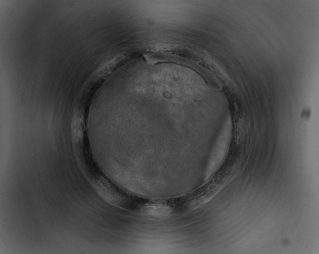 X0000102820644200809021251