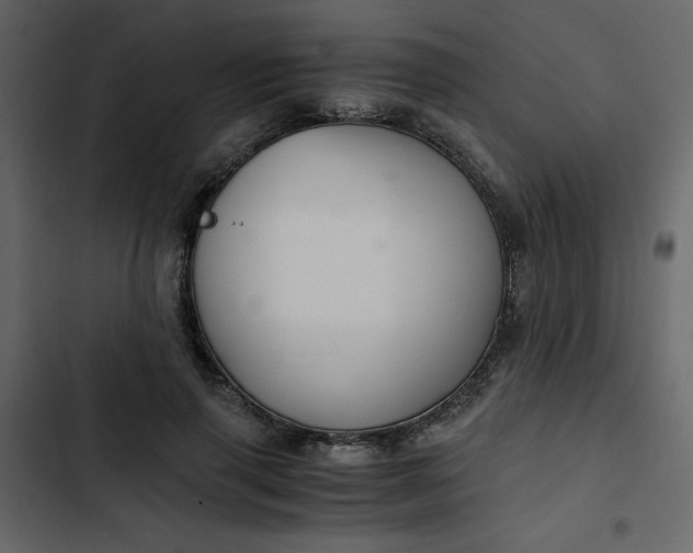 X0000102820645200809021251