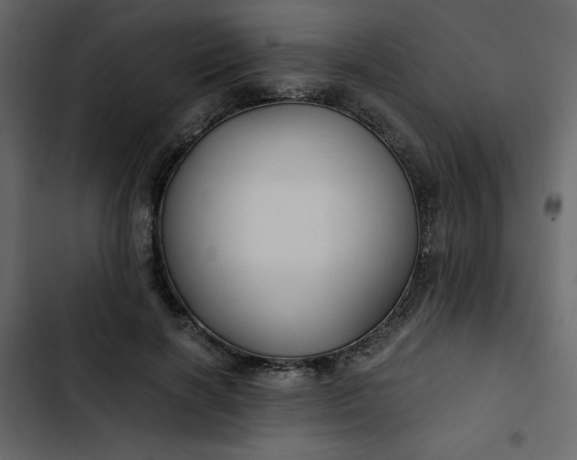 X0000102820646200809021251