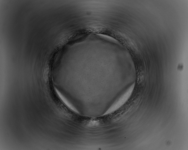 X0000102820647200809021251
