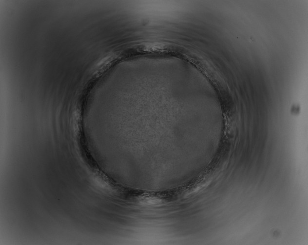 X0000102820648200809021252