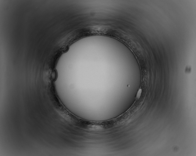 X0000102820649200809021252