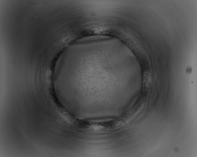 X0000102820650200809021252