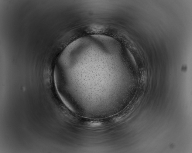 X0000102820651200809021252