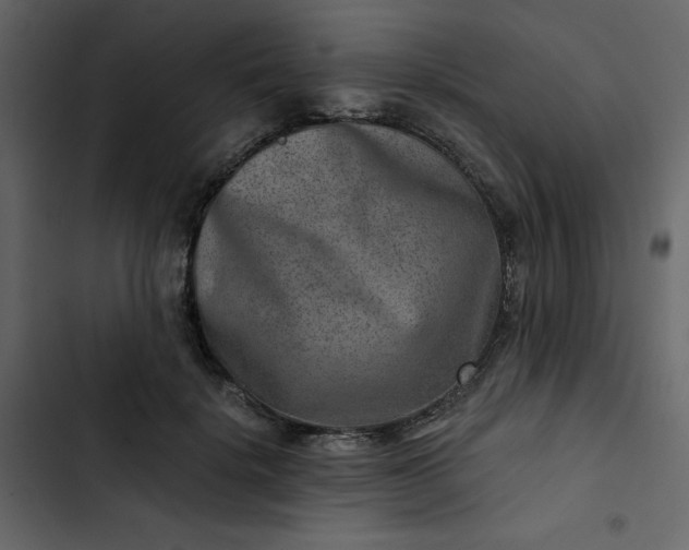 X0000102820652200809021252