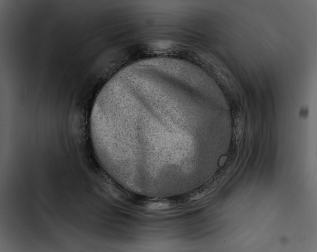 X0000102820653200809021252