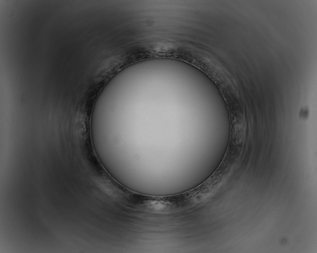 X0000102820654200809021252
