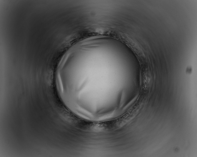 X0000102820656200809021252
