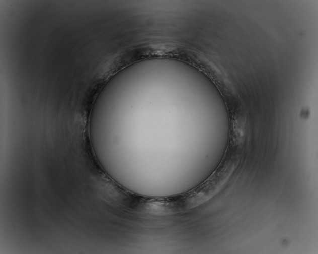 X0000102820657200809021252