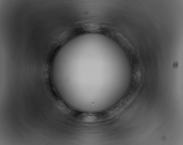 X0000102820658200809021252