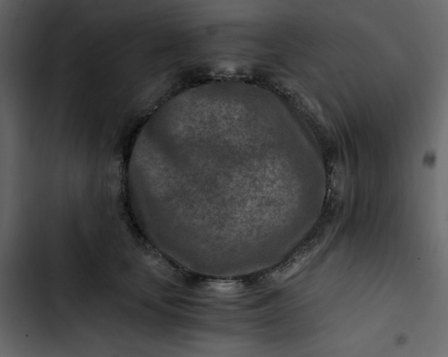X0000102820659200809021252